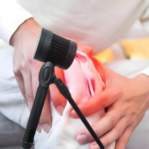 Phototherapy Back Pain Relief Home Physiotherapy