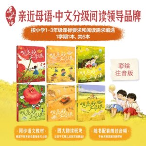 All 6 books are optional for the bright literature course close to mother tongue in Grade 123