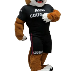 college cougar mascot costume wildcat bobcat custom fancy costume anime cosplay kit mascotte theme fancy dress carnival 0193