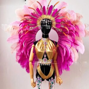 Park tour feather outfits Carnival paradise samba Dance costume Nightclub singer dancer performance Role costume