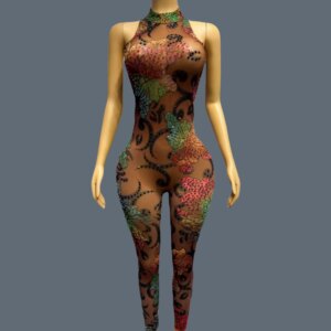 Sparkly Rhinestone Brown Sheer Mesh Jumpsuit Sleeveless Tight Fitting Bodysuit Birthday Party Stage Performance Outfit Caihuaku
