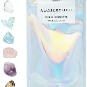 Alchemy of U – Facial Crystal Chakra Grid Set – 6 pcs