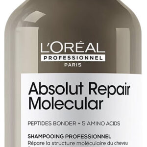 Absolut Repair Molecular Repairing Shampoo for Damaged Hair 300mL