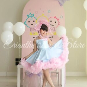 Blue And Pink Flower Girl Dress For Wedding Tulle Puffy Sleeveless Kids Birthday Party First Communion Ball Gowns Customized
