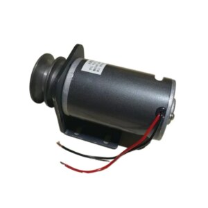 36V 48V 60V 72V 220V 550W DC wind turbine battery car charging permanent magnet belt pulley