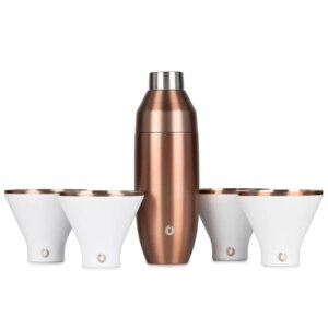 Stainless Steel Cocktail Shaker and Martini Glass Set Gold and White