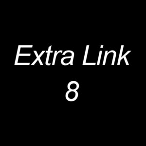 Extra Link 8