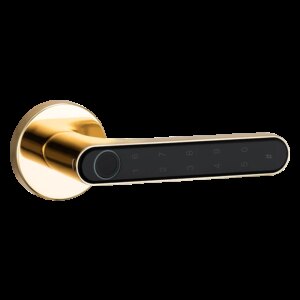 Indoor fingerprint lock, silent office smart lock, wooden door password, spherical universal bedroom