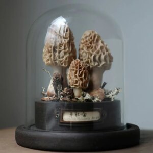 Morel Mushroom Handmade Craft Mushroom Ornaments Toys Desktop Ornamen Customizable Artwork Collection And Decoration Gift