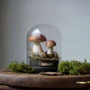 Handmade Craft Mushroom Ornaments Toys Desktop Ornamen Customizable Artwork Collection And Decoration Child’S Gift