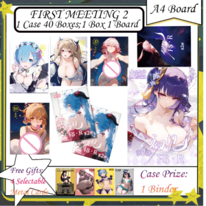 FIRST MEETING 2 A4 Board New Goddess Story Cards A4 Boards Full Set Anime Goddess Character Albedo Nezuko Rem Nami Power Zero 2