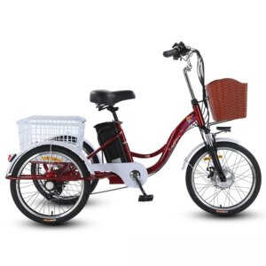 20-Inch 7-speed assist adult pedal electric tricycle
