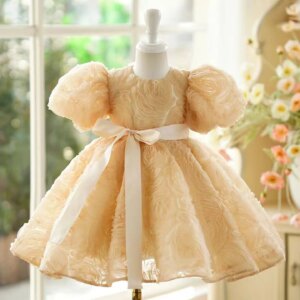 Dreamy Vow Adorable Gold Girl Dress for Kids 1st Toddler Birthday Party Holiday Celebration Princess Short Ball Gown J751