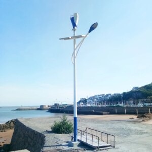 Wind Turbines Generator 220v China Type Suitable for Household Electricity Use Made in China 3000 Watt Generators Portable