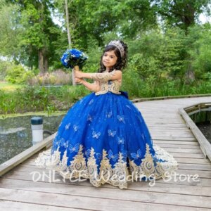 Royal Blue Flower Girls Dress With Bow Princess Ball Gown Butterfly Lace Applique Beads Luxury Child Birthday Gown Customized