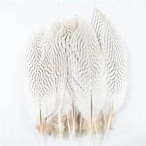 100Pcs Natural Silver Pheasant Tail Feathers 20-25CM for Crafts Wedding Decorations Silver Pheasant Feather Plumes