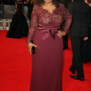 Lace Mother Of The Bride Dresses With Long Sleeves V Neck Plus Size Wedding Guest Dress Sheath Red Carpet Evening Gowns