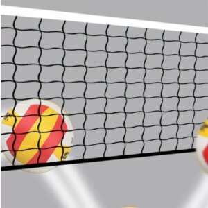 Commercial-Strength Weatherproof Volleyball Net Kit with Sand Anchors Outdoor Beach Club Events Volleyball Net