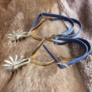 Medieval Spurs Italy Churburg Castle Armory Spurs History Recover Brass Spurs Middle Ages Italian Weapons Equipment