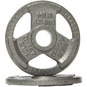 Cast Iron Plate Weight Plate for Strength Training, Weightlifting and , 2-Inch, 10lbs Pair