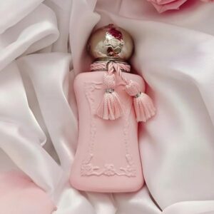 Hot Sell Perfume Paris Brand Valaya Perfume Woman Sexy Fragrance Spray Oriana Delina Sedbury Cassili Meliora Darcy EDP Rosee Parfums Royal Essence Fast Shipping