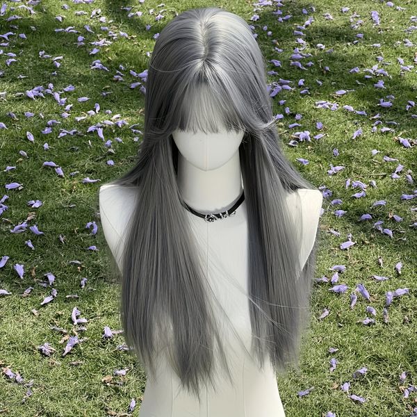 Elastic Rose Net Cap Wig - Silver Grey Synthetic Fiber Straight Long Hairstyle for Cosplay & Parties