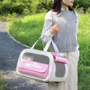 Beni Pet All Season Breathable Pet Carrier Compact Folding Back Pack For Cats On-The-GO