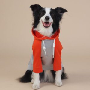 Waterproof Raincoat Dogs Medium/Large Size, Reliable & Stylish, Suitable for Year – Round Use