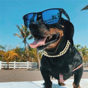 Dog Accessories Luxury Sunglasses Gold Dog Chain Collar Cuban Chain Link Choke Collar for Small Medium Large Dogs Pet Necklace Jewelry Crystal Supplies