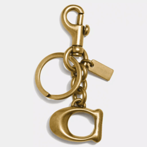 Women Key Decorative Pendant Accessory Girls Like Classic Metal Buckle Ring Bag Charm keychain for Women cute bag charms chain Lanyards with box 03