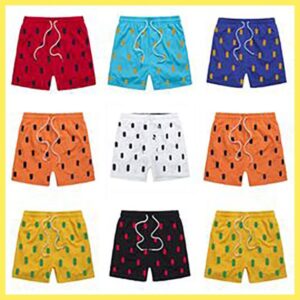 polo shorts men swim shorts polo designer shorts summer Swim War horse embroidery Breathable polo beach shorts Quick Dry Surf Mesh fabric plus asian size s-6xl
