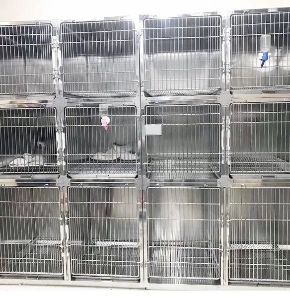 Newest 12-door cage Veterinary pet hospital clinic stainless steel 304 dog cages