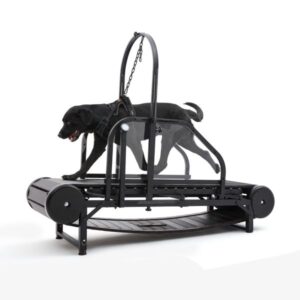 Larger Dog Non-electric Equipment Apparel Heavy Duty Pet Running Fiess Treadmill Walking hine Unpowered Run Tools For Dogs