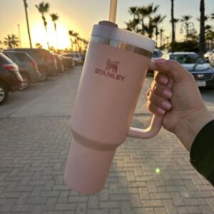 DHL 1pcs Stanley Quencher H2.0 40oz Stainless Steel Tumblers Cups With Silicone Handle Lid and Straw Big Capacity Car Mugs Vacuum Insulated Water Bottles ZT07