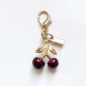 Women Key Decorative Pendant Accessory Girls Like Classic Metal Buckle Ring Bag Charm keychain for Women cute bag charms chain Lanyards with box 02