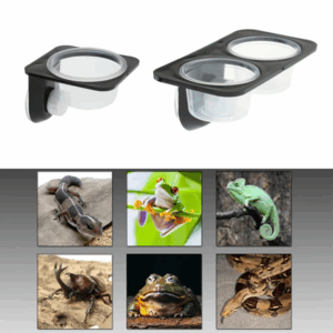 Reptiles Amphibians Lizard Gecko Suction Cup Feed Bowls Food Container With Bowl For Reptile Food And Water Feeding
