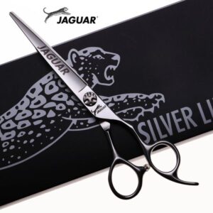 6.5 inch Professional Hairdressing scissors hair Cutting Barber shears High quality