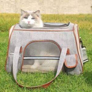 Spring portable large capacity foldable breathable backpack essential carry-on pet cat bag