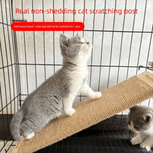 Long-lasting Environmentally Friendly Cat's Nook – Versatile Double-sided Cardstock Kitten Retreat