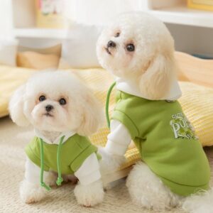 Hot Release Fashionable Hooded Pet Sweater Cats Persians Small Dogs like Pomeranians. Perfect for Fall and Winter, ensur