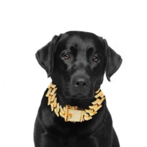 Designer Thorne Cat and Collar Shining Dia Cuban Chain Dog Necklace Gold Biological Color Pet Jewelry Accessories 16mm M250116