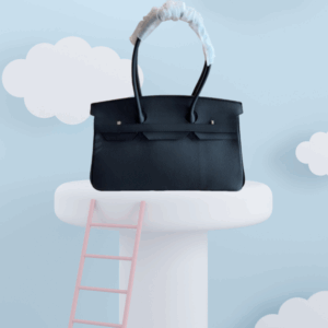 Horizontal leather design ladies elegant small bag luxury design with big brand box –HH8067