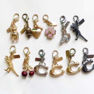 Women Key Decorative Pendant Accessory Girls Like Classic Metal Buckle Ring Bag Charm keychain for Women cute bag charms chain Lanyards