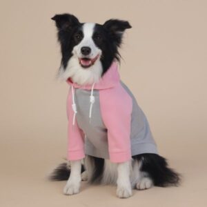 All Weather Four – Legged Raincoat for Small and Medium Dogs, Unisex Look, Pastel Colors