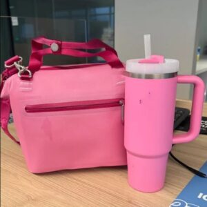 All Day Julienne Mini Soft Lunch Bag Box Recycled Polyester 12-Hour Coog Travel Cooler Bgas 0228