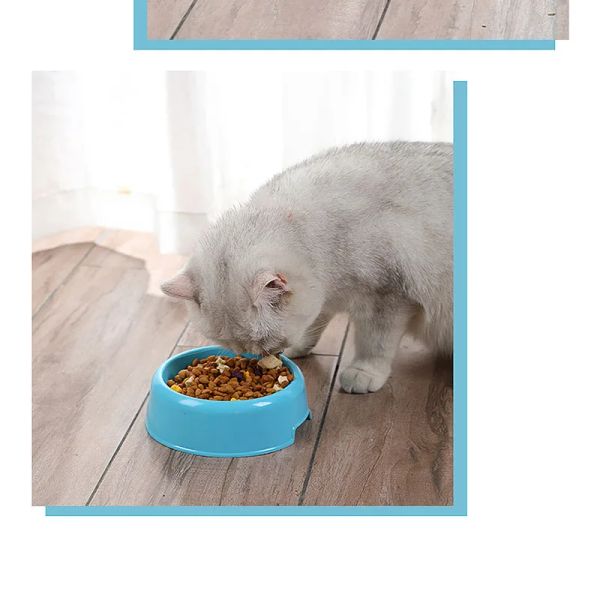 139752 Dog Cat Bow lRound Water Food Feeder Feeding Drinking Round Bowl for Dogs Cats Kitten Puppy Small Animal Pet Accessories