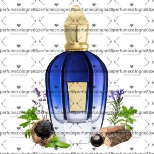 Xerjoff Pura Perfume Erba Gold Accento Soprano Opera Coro Groove Xcape Alexandria Fragrance 100ml Eau De Parfum Long Lasting Smell EDP Man Women Cologne Spray