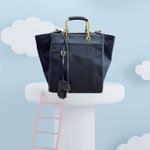 Fashionable new style ladies' small bag with multiple uses luxury design with big brand box –PR8067