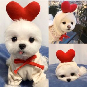 Cute Fruit Dog Clothes Hoodies Warm Fleece Pet Clothing Cat Costume Coat for Puppy Small Medium Dogs Cats cb4