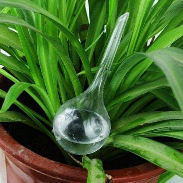 Watering Flower PETG Circular Automatic Waterer Wholesasle Lazy Plant Potted Garden Light Bulb Dripping Water Ball Tip Drip Irrigation